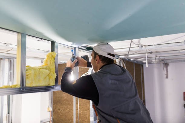 Best Commercial Insulation in Amsterdam, NY