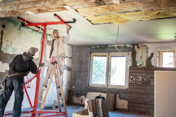 Best Residential Insulation in Amsterdam, NY